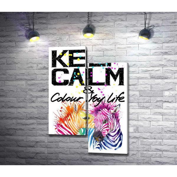 Кольорові полоски зебр під написом "keep calm and colour your life" 
