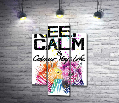 Модульная картина "Цветные полоски зебр под надписью "keep calm and colour your life""