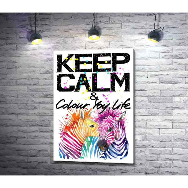 Кольорові полоски зебр під написом "keep calm and colour your life" 