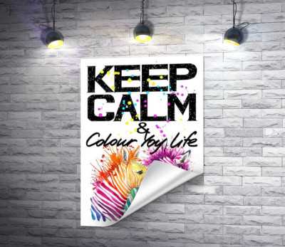 Цветные полоски зебр под надписью "keep calm and colour your life"