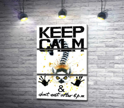 Модульна картина "Лемур тягне лапи вперед під написом "keep calm and don't eat after 6 p.m.""