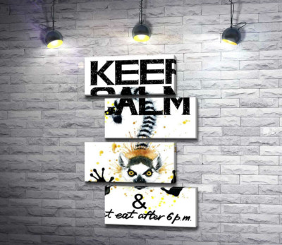Модульна картина "Лемур тягне лапи вперед під написом "keep calm and don't eat after 6 p.m.""