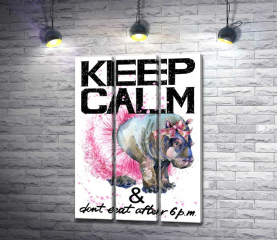 Бегемот балерина среди надписи "keep calm and don't eat after 6 p.m."