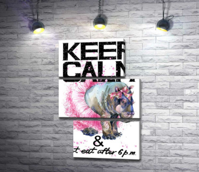 Модульная картина "Бегемот балерина среди надписи "keep calm and don't eat after 6 p.m.""
