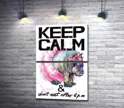 Модульна картина "Бегемот балерина серед напису "keep calm and don't eat after 6 p.m.""