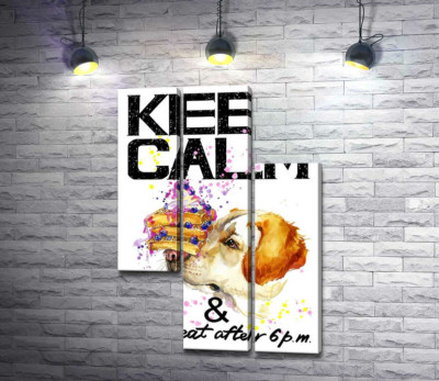 Модульная картина "Черничный торт на носу у собаки среди надписи "keep calm and don't eat after 6 p.m.""