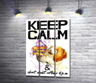 Модульная картина "Черничный торт на носу у собаки среди надписи "keep calm and don't eat after 6 p.m.""