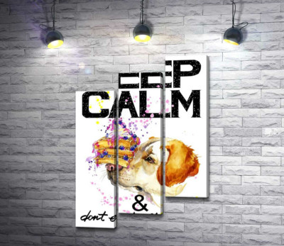 Модульна картина "Чорничний торт на носі у собаки серед напису "keep calm and don't eat after 6 p.m.""