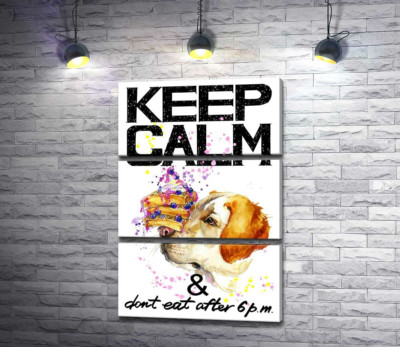 Модульная картина "Черничный торт на носу у собаки среди надписи "keep calm and don't eat after 6 p.m.""