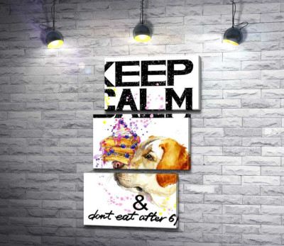 Чорничний торт на носі у собаки серед напису "keep calm and don't eat after 6 p.m."