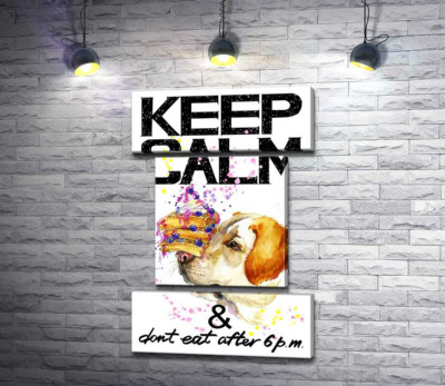 Модульна картина "Чорничний торт на носі у собаки серед напису "keep calm and don't eat after 6 p.m.""