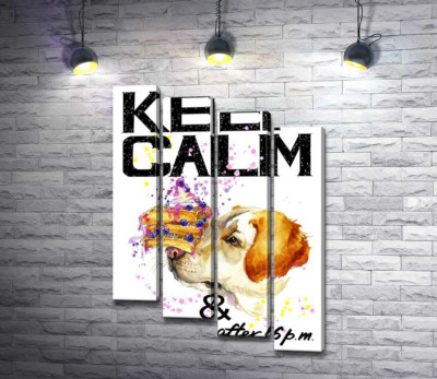 Модульная картина "Черничный торт на носу у собаки среди надписи "keep calm and don't eat after 6 p.m.""