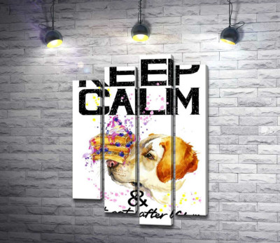 Чорничний торт на носі у собаки серед напису "keep calm and don't eat after 6 p.m."