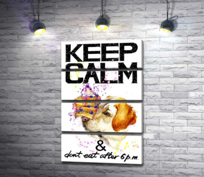 Модульная картина "Черничный торт на носу у собаки среди надписи "keep calm and don't eat after 6 p.m.""