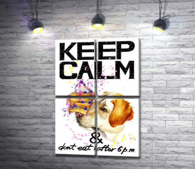 Чорничний торт на носі у собаки серед напису "keep calm and don't eat after 6 p.m."