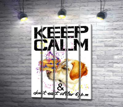 Модульна картина "Чорничний торт на носі у собаки серед напису "keep calm and don't eat after 6 p.m.""