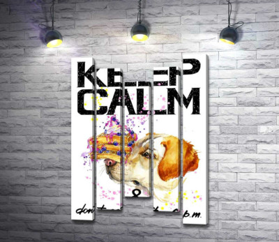 Черничный торт на носу у собаки среди надписи "keep calm and don't eat after 6 p.m."