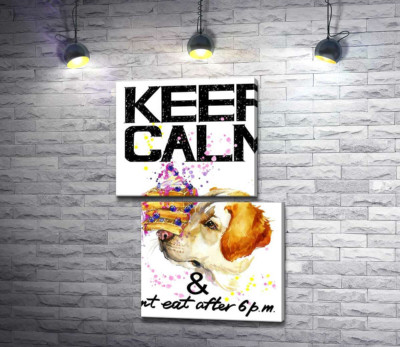 Черничный торт на носу у собаки среди надписи "keep calm and don't eat after 6 p.m."
