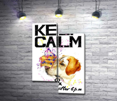 Чорничний торт на носі у собаки серед напису "keep calm and don't eat after 6 p.m."