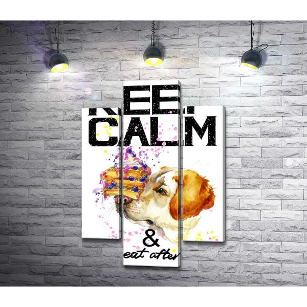Черничный торт на носу у собаки среди надписи "keep calm and don't eat after 6 p.m."