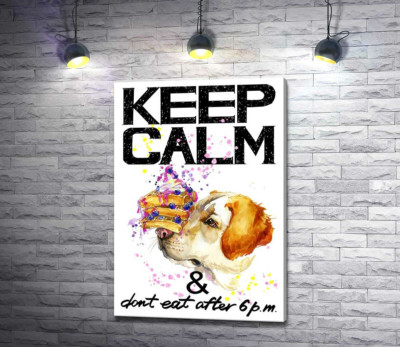 Чорничний торт на носі у собаки серед напису "keep calm and don't eat after 6 p.m."