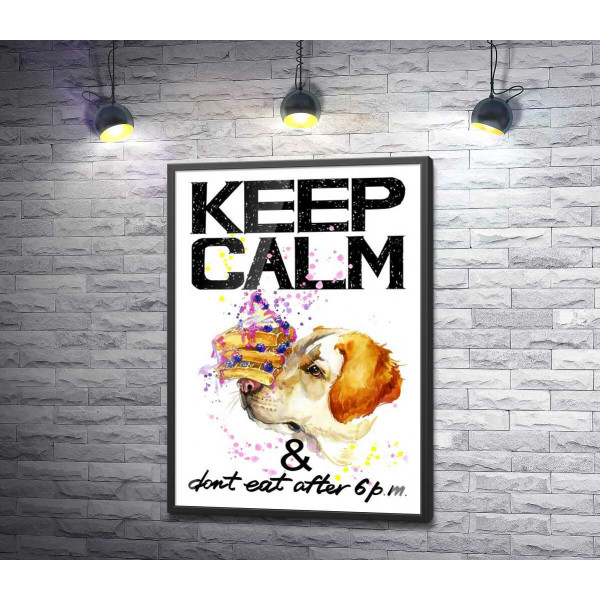 Черничный торт на носу у собаки среди надписи "keep calm and don't eat after 6 p.m."