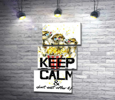 Ховрахи з попкорном за написом "keep calm and don't eat after 6 p.m."