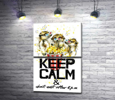 Ховрахи з попкорном за написом "keep calm and don't eat after 6 p.m."