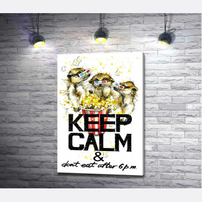 Ховрахи з попкорном за написом "keep calm and don't eat after 6 p.m."