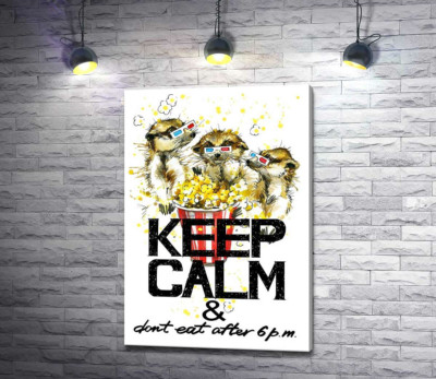 Ховрахи з попкорном за написом "keep calm and don't eat after 6 p.m."