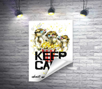 Ховрахи з попкорном за написом "keep calm and don't eat after 6 p.m."