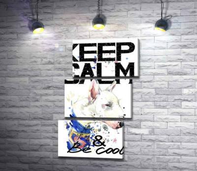 Профіль бультер'єра серед напису "keep calm and be cool"