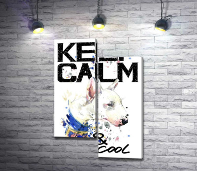 Модульная картина "Профиль бультерьера среди надписи "keep calm and be cool""