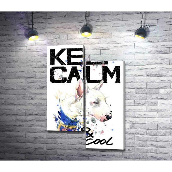Профиль бультерьера среди надписи "keep calm and be cool"