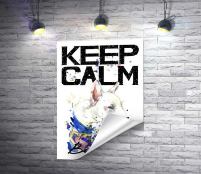 Профиль бультерьера среди надписи "keep calm and be cool"