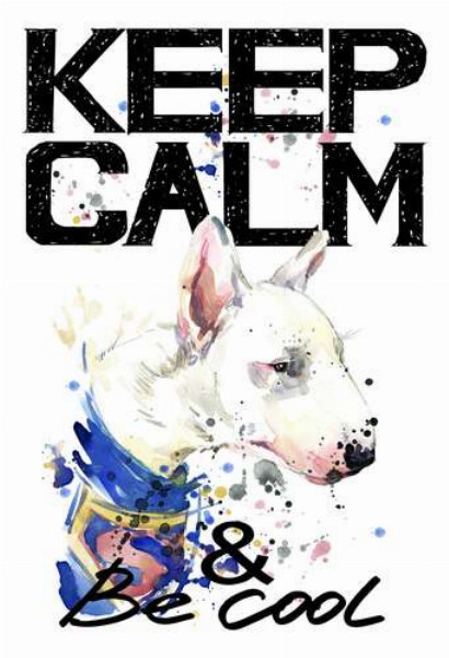 Профиль бультерьера среди надписи "keep calm and be cool"