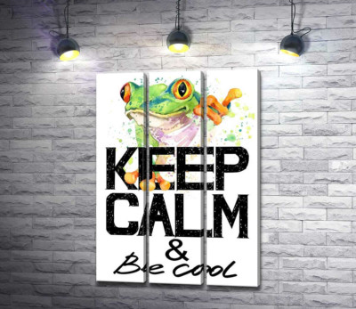 Модульная картина "Древесная лягушка за надписью "keep calm and be cool""