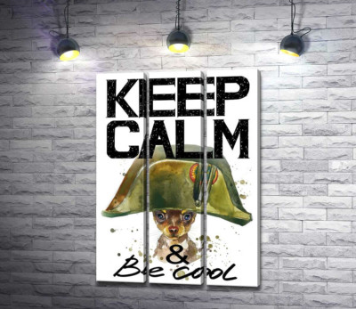 Модульная картина "Чихуахуа в шапке Наполеона среди надписи "keep calm and be cool""