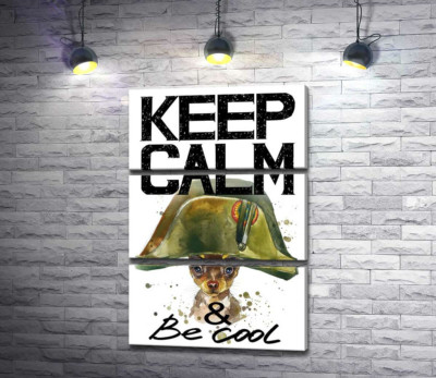 Чихуахуа в шапке Наполеона среди надписи "keep calm and be cool"
