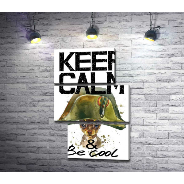 Чихуахуа в шапке Наполеона среди надписи "keep calm and be cool"