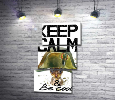 Модульная картина "Чихуахуа в шапке Наполеона среди надписи "keep calm and be cool""