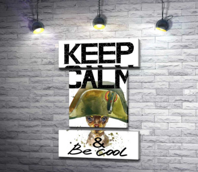 Модульна картина "Чихуахуа в шапці Наполеона серед напису "keep calm and be cool""