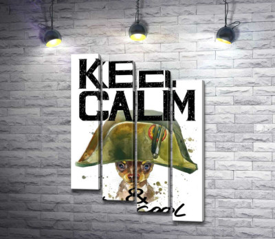 Чихуахуа в шапке Наполеона среди надписи "keep calm and be cool"