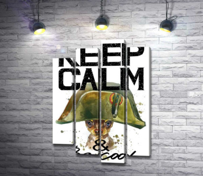 Чихуахуа в шапці Наполеона серед напису "keep calm and be cool"