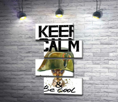 Модульна картина "Чихуахуа в шапці Наполеона серед напису "keep calm and be cool""