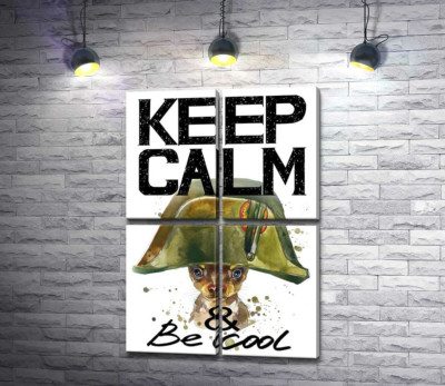 Чихуахуа в шапке Наполеона среди надписи "keep calm and be cool"