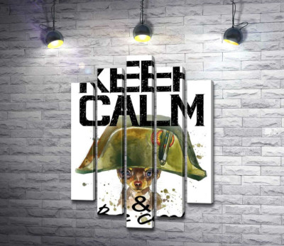 Модульная картина "Чихуахуа в шапке Наполеона среди надписи "keep calm and be cool""