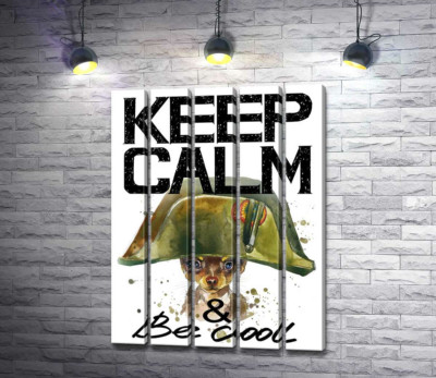 Модульная картина "Чихуахуа в шапке Наполеона среди надписи "keep calm and be cool""