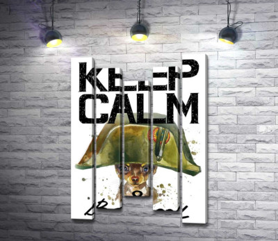 Чихуахуа в шапці Наполеона серед напису "keep calm and be cool"