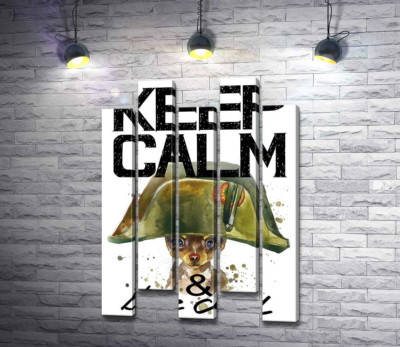 Модульная картина "Чихуахуа в шапке Наполеона среди надписи "keep calm and be cool""
